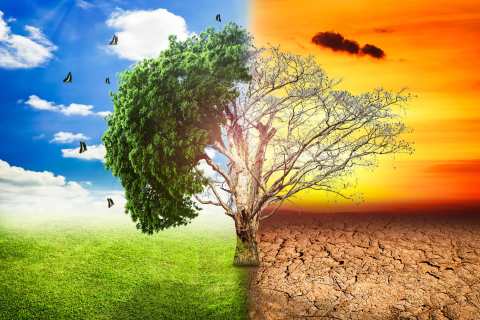 cambiamento climatico