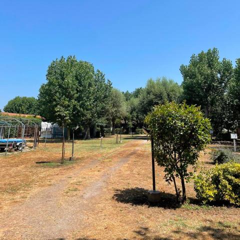 progetto ALBA