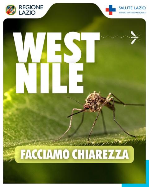 zanzara zanzara