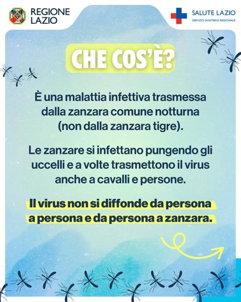 di cosa si tratta